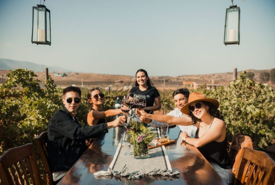 Tasting and Tour Through the Vineyard