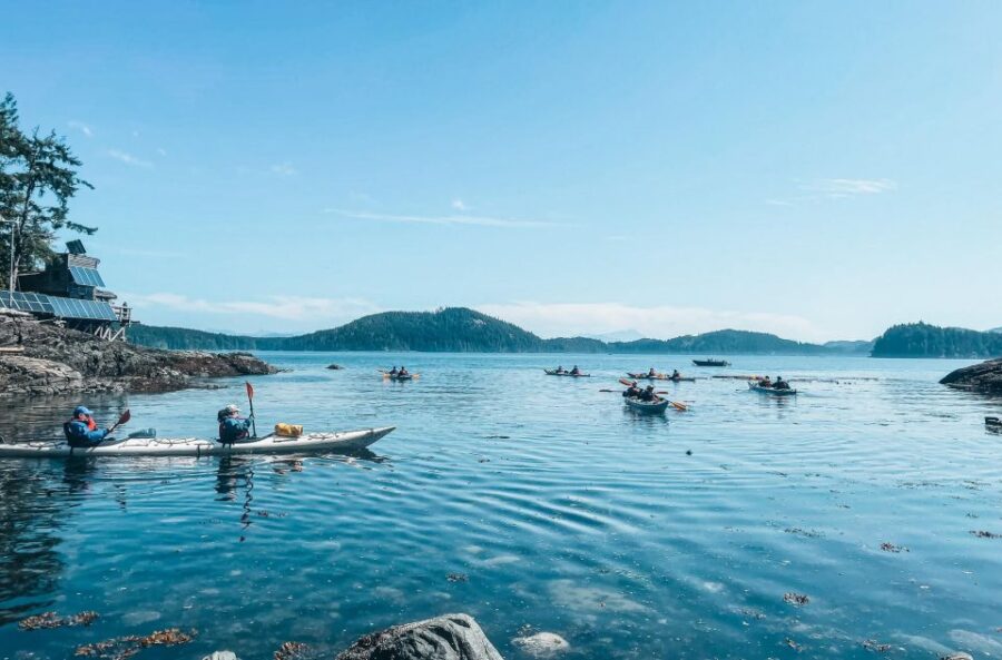 Telegraph Cove: 2 Hour Family Fun Kayaking Tour