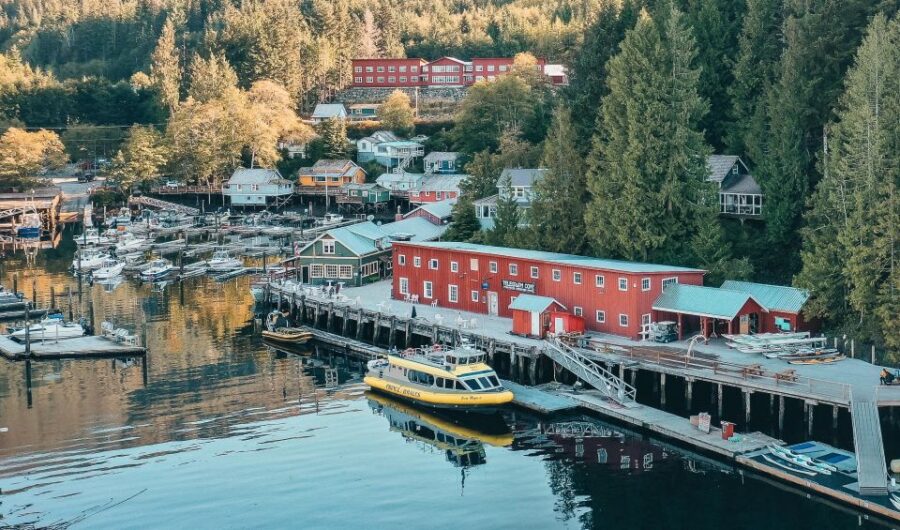 Telegraph Cove: Day Trip Kayaking Tour
