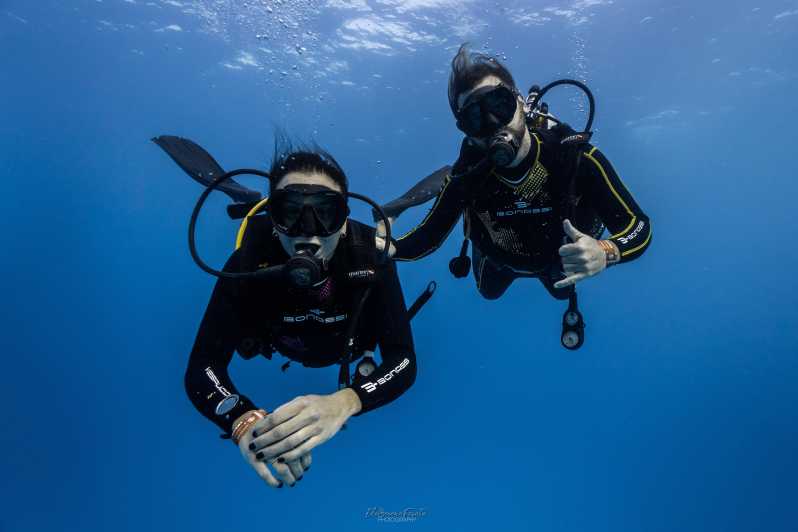 Tenerife – 2 Guided Dives for Certified Divers – Half Day