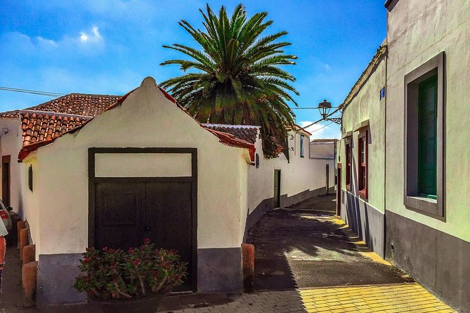 Tenerife South Private Tour: Secrets of the Volcanoes