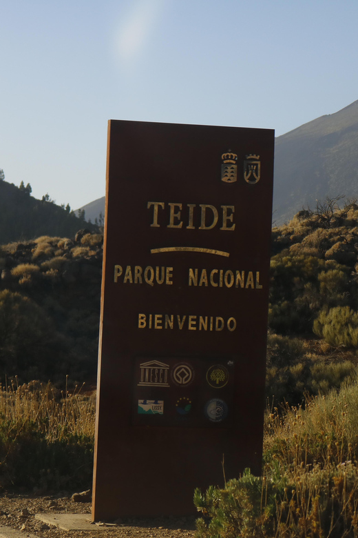 8 Best Quad Bike And ATV Tours In Tenerife