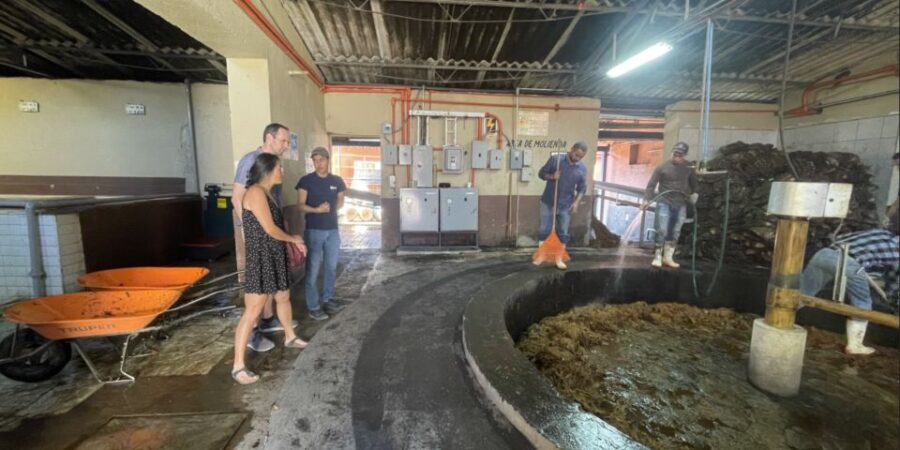 Tequila and Guachimontones in One Day! - Tour Overview
