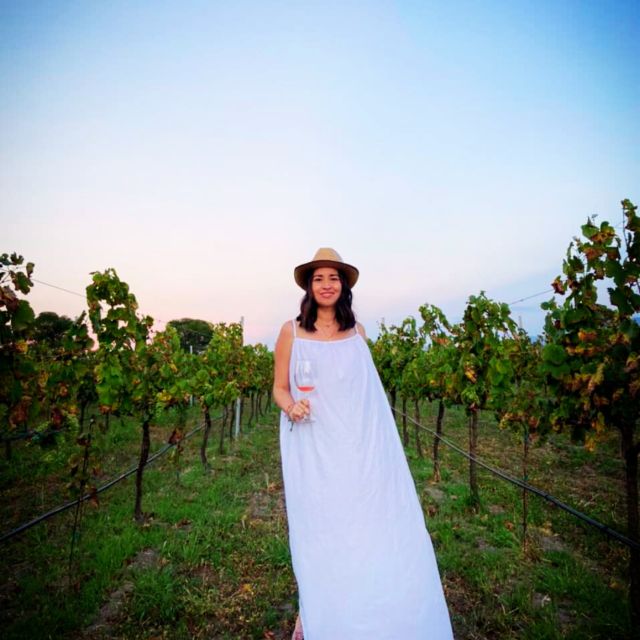 Tequisquiapan Cheese and Wine Route Premium