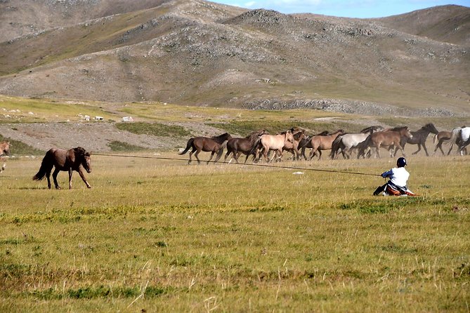 Terelj National Park and Chinggis Khaan Statue Tour