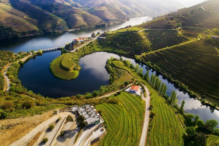 Tesla Premium Private Tours - Porto to Douro Valley
