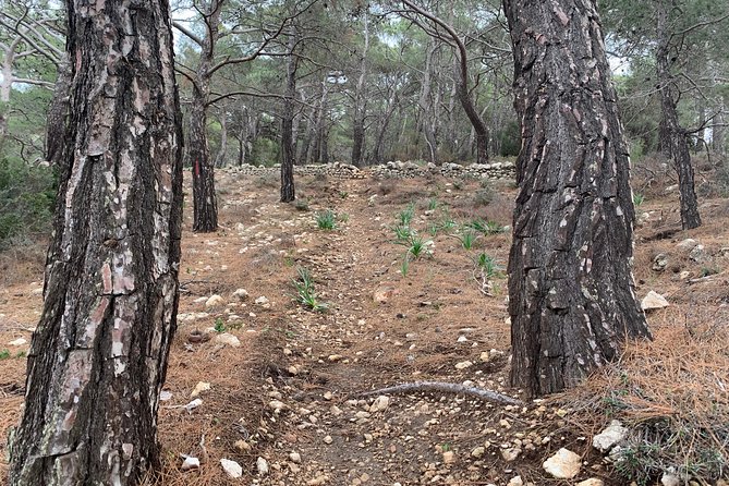 The Agia Kyriaki Walk by Art and Walk - Meeting Point and Pickup Details
