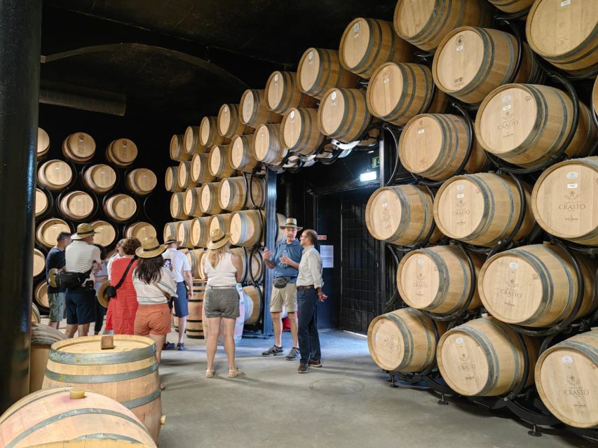 The Best Douro Wine Tour From Porto