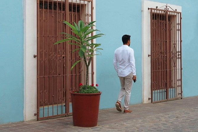 The Best of Oaxaca Walking Tour & Mezcal Tasting - Tour Overview