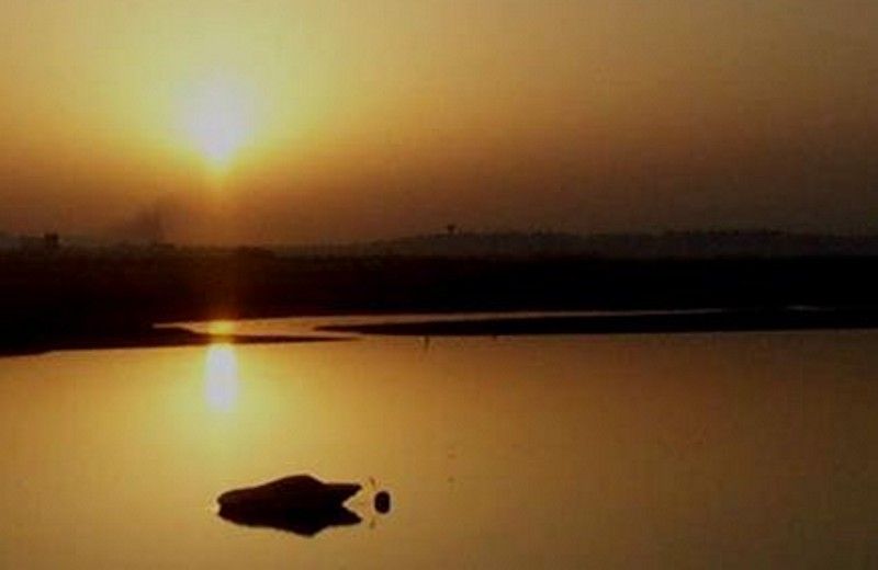 The Colors of Ria Formosa: Sunset Boat Trip in Faro - Overview and Pricing