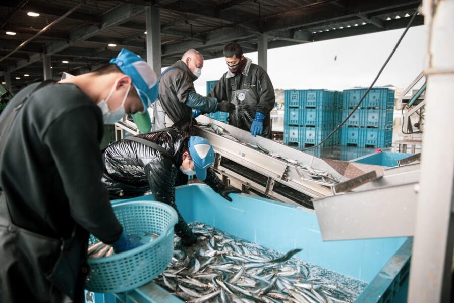 The Finest Ocean Gastronomy Tour.