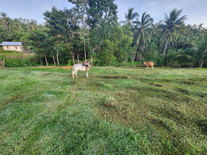 The Gili Mushroom Tours