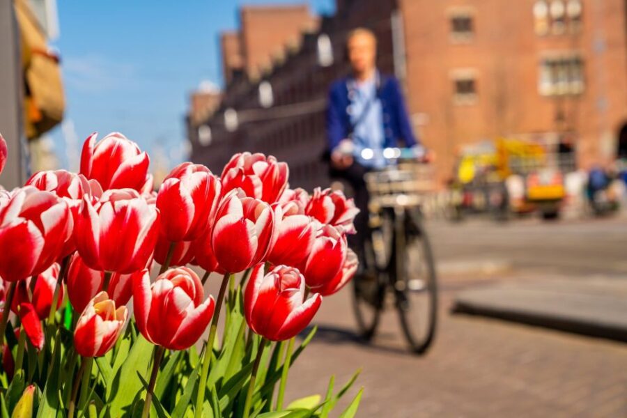 20 Best Walking Tours In The Hague