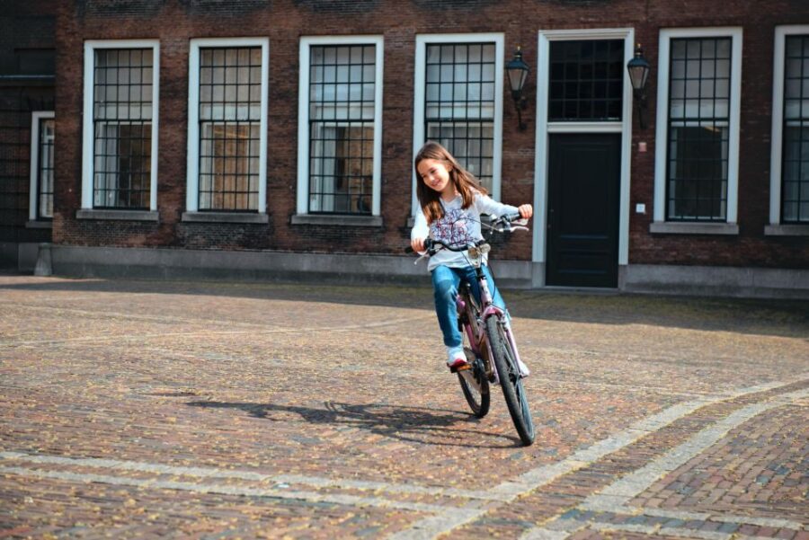 The Hague: Highlights Bike Tour