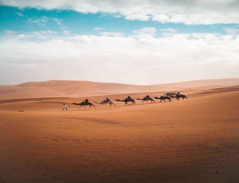 The Luxury 2days 1night Desert Tour From Fez to Fez/Marakech