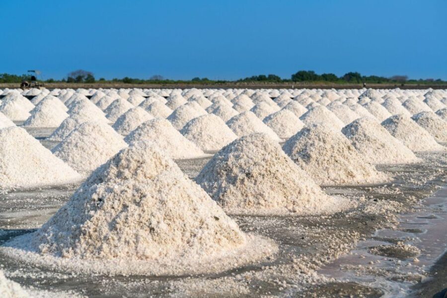 The Salt Pans of Marsala – Visit and Sunset in the Salt Pan