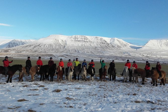 The Viking Horse Riding Experience in North Iceland - Tour Details and Inclusions