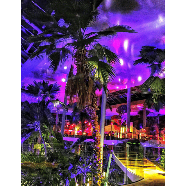 THERME BUCHAREST – TRANSFER + 4.5 HOURS ENTRANCE TICKET