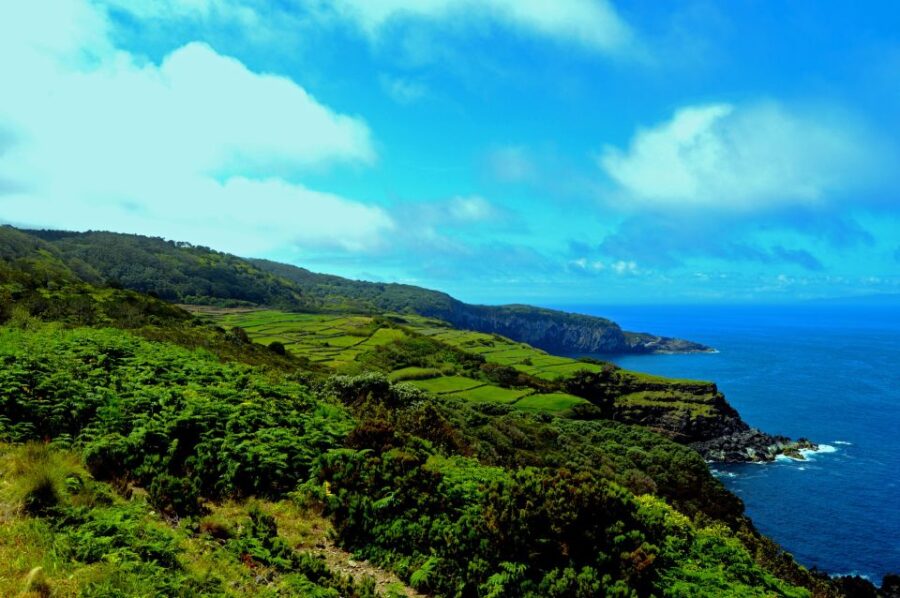 Third: Half-Day Island Tour With Cheese Tasting - Tour Overview
