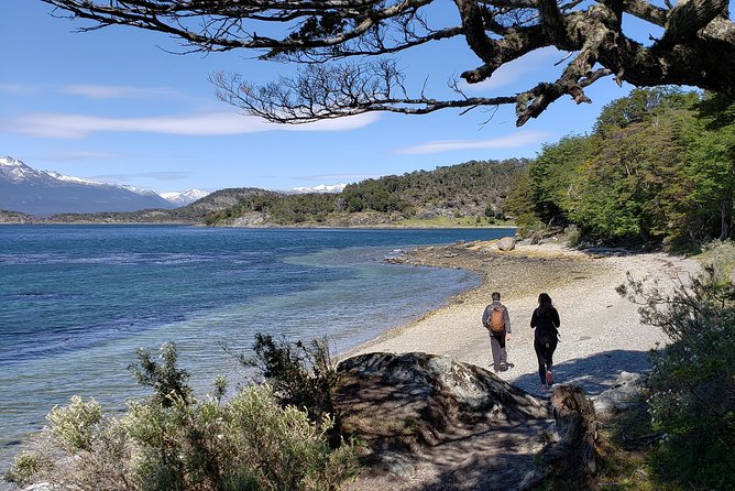 Tierra Del Fuego National Park Private Tour