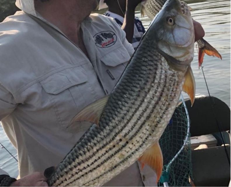 Tiger Fishing- Komati River - Half Day