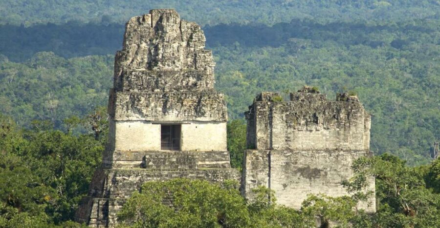 Tikal Tour With General Focus More Lunch and Local Guide