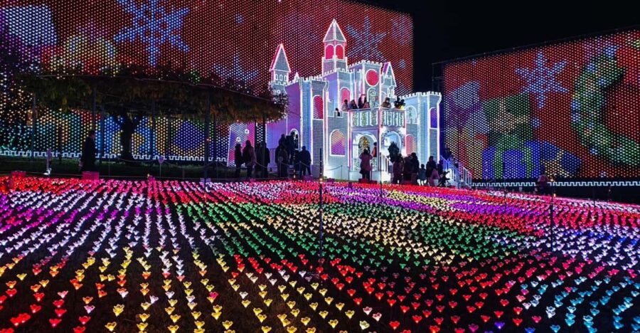 Tokyo: Ashikaga Flower Park With Entry Ticket