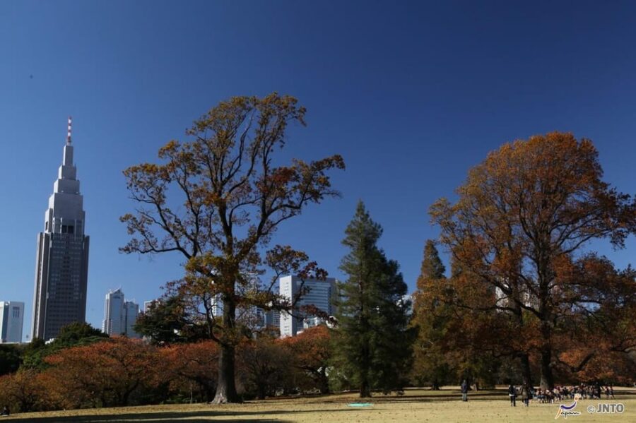 Tokyo City Half-Day Cruising: Door-to-Door Transfer Service