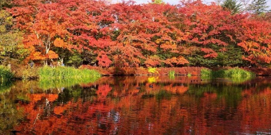 Tokyo Karuizawa, Hoshino Resorts Area, Glacier Shrine Day Tour