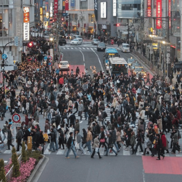 Tokyo: Luxury Tokyo Private City Tour In Luxury Land Cruiser