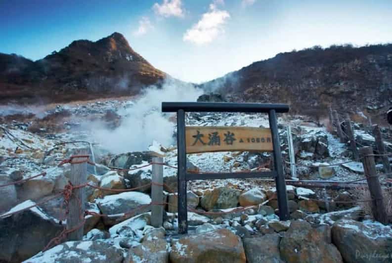 Tokyo Mt.Fuji Hakone Ropeway, and Oshino Hakkai Day Tour