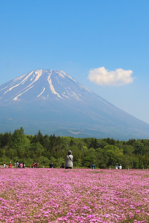 25 Best Tours In Fujikawaguchiko