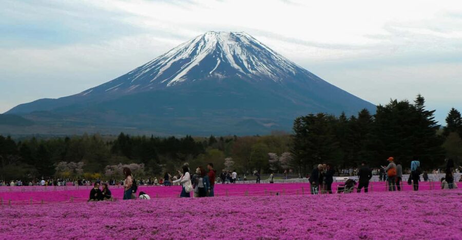 Tokyo: Private Mount Fuji Tour With Pickup and Drop-Off