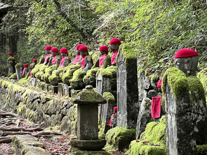 Tokyo: Private Nikko Sightseeing Tour In Luxury Land Cruiser - Luxury Transportation for Sightseeing