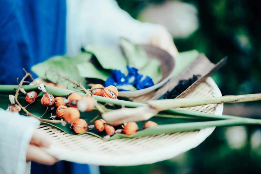 Tokyo, Sendagi: NIPPON Herbal Tea Ceremony