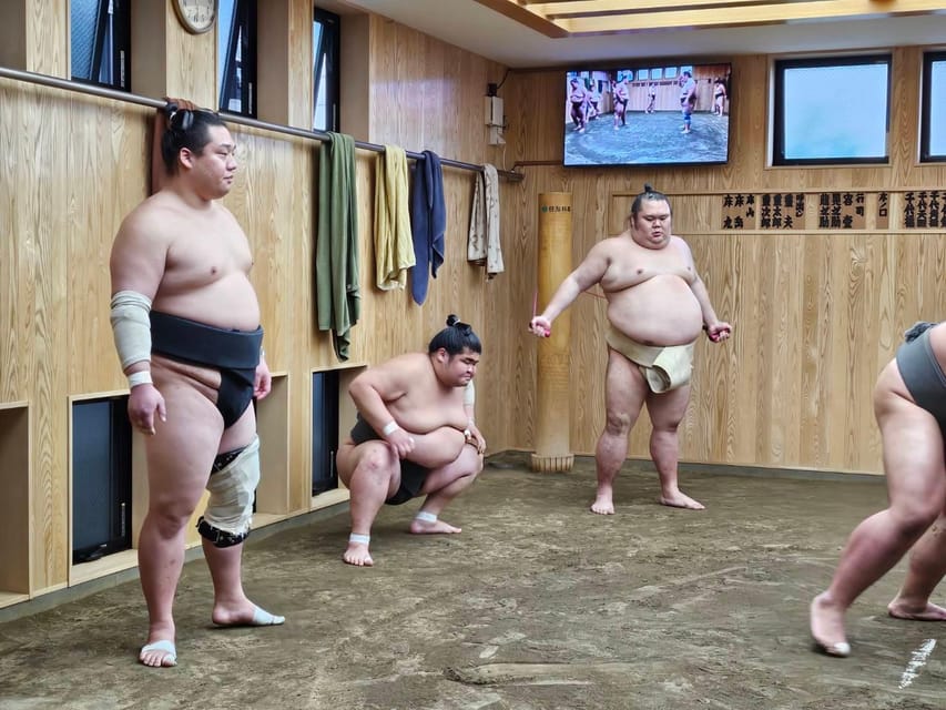 Tokyo Sumo Morning Practice Tour With Private Car Transfer