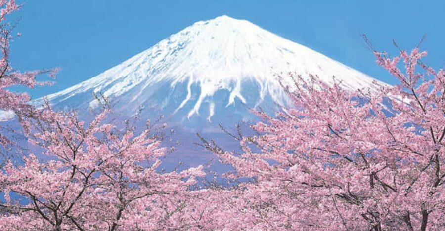 Tokyo to Mt. Fuji Area/Kawaguchiko Transfer Service