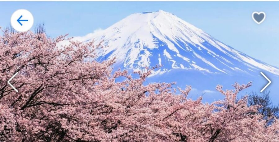 Tokyo:Private Luxury Car Tour to Mt. Fuji and Lake Kawaguchi - Tour Details
