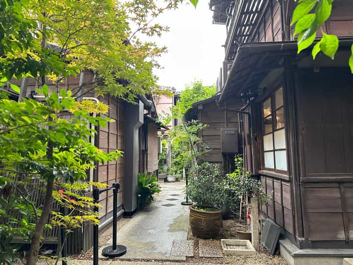 Tokyo's Old Traditional Town - Yanaka, Nezu & Ueno Sakuragi - Tour Overview