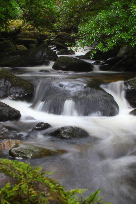 15 Best Guided Tours In Killarney