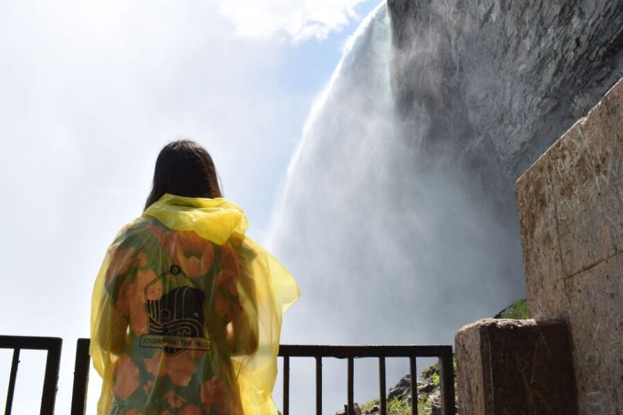 Toronto: Niagara Falls Day Tour With Cruise Option