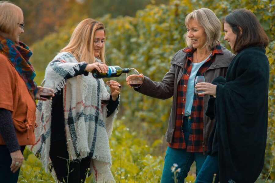 Toronto: Niagara Wineries Tasting Tour & Optional Lunch - Tour Overview and Pricing