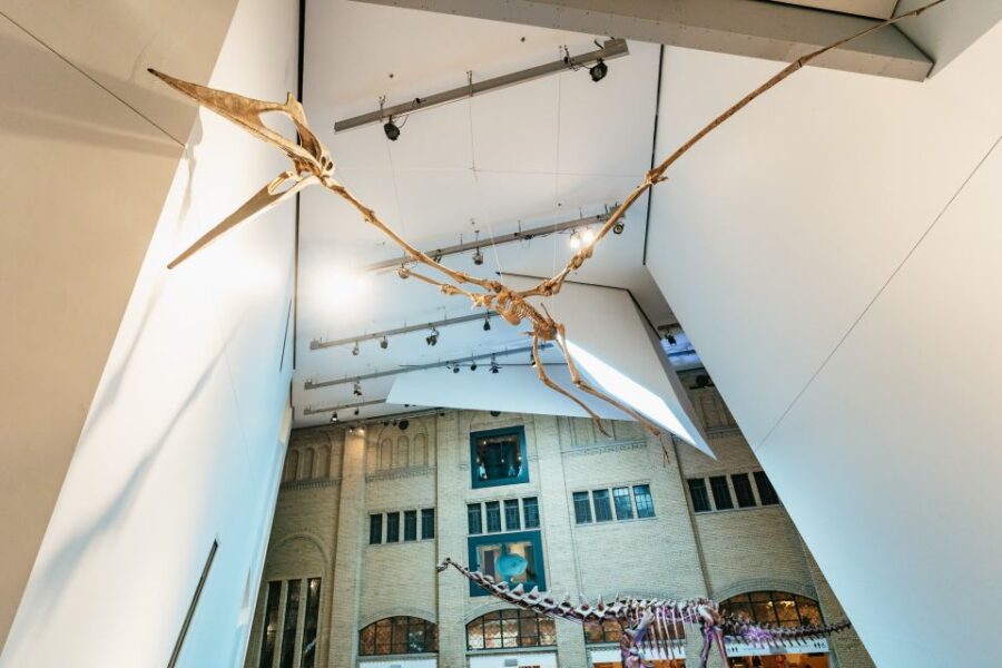 Toronto: Royal Ontario Museum Admission Ticket - Ticket Information