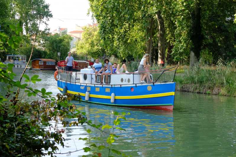 Toulouse: Canal Du Midi Riverboat Cruise With Optional Guide