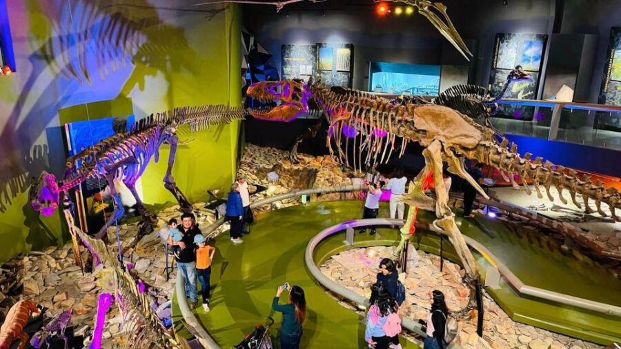 Tour: Dinosaur Museum With Guide, Transfer and Tickets