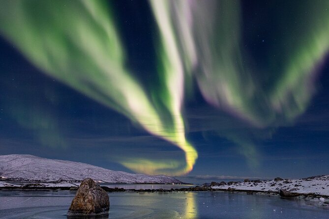 Tour in Search of the Northern Lights in Tromso