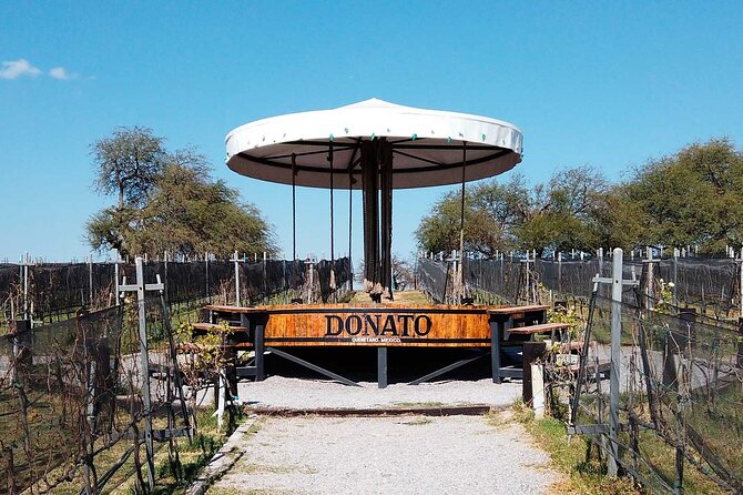 Tour in Spanish to the Traditional Cheese and Wine Route, Leaving From Querétaro - Pickup Information