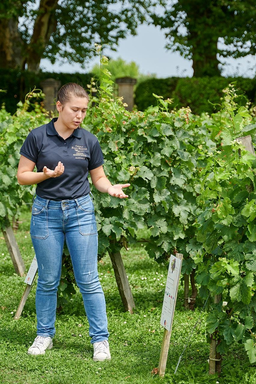 Tour of the Winery and Tasting of 3 Appellations