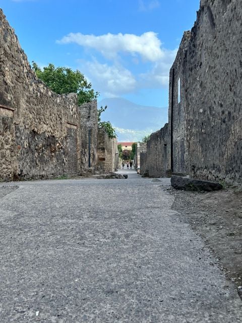 Tour Pompeii and Vesuvius - Tour Overview and Pricing