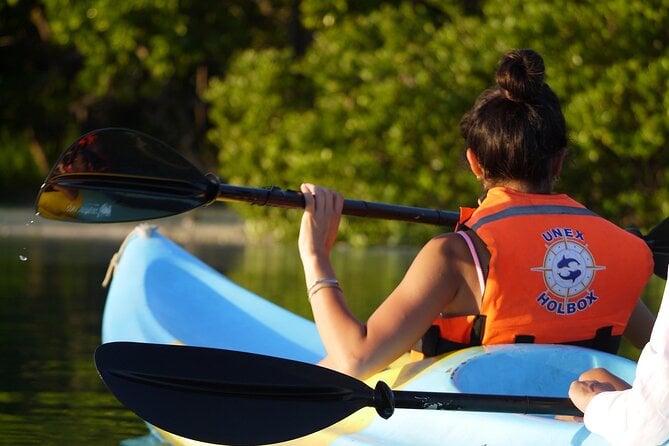 Tour the Mangroves in Kayak by Isla Holbox - Tour Overview